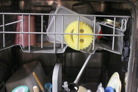 Scrub Brush Clean in Dishwasher