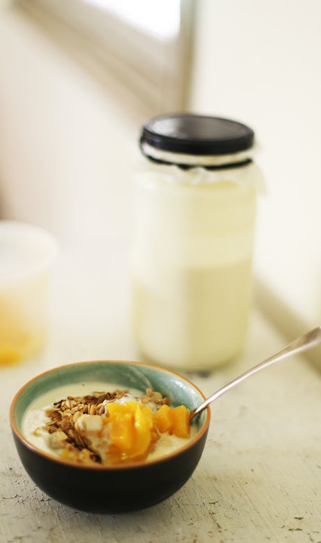 Breakfast with the Mad Millie Kefir Kit