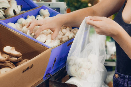 5 Ways to Save on Your Grocery Bill