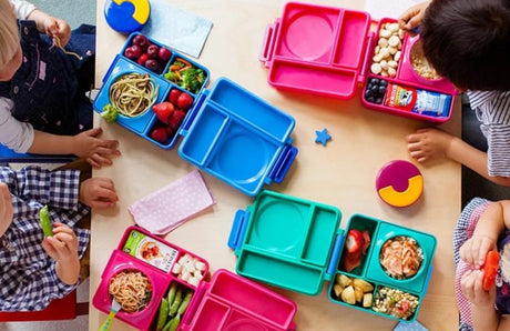 Kids Bento Lunch Boxes