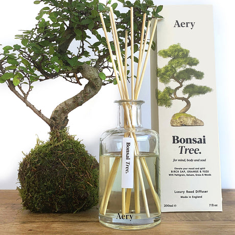 Aery Living Botanical Reed Diffuser 200ml Bonsai Tree - Image 02