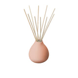 Aery Living Fernweh Reed Diffuser 200ml Aztec Tuberose - Image 01