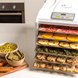 BioChef Arizona Sol 6 Tray Food Dehydrator in White - Image 05