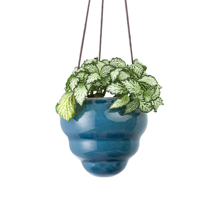 Burgon & Ball Baby Bombini Hanging Pot Set of 3 - Image 02