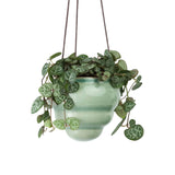 Burgon & Ball Baby Bombini Hanging Pot Set of 3 - Image 03