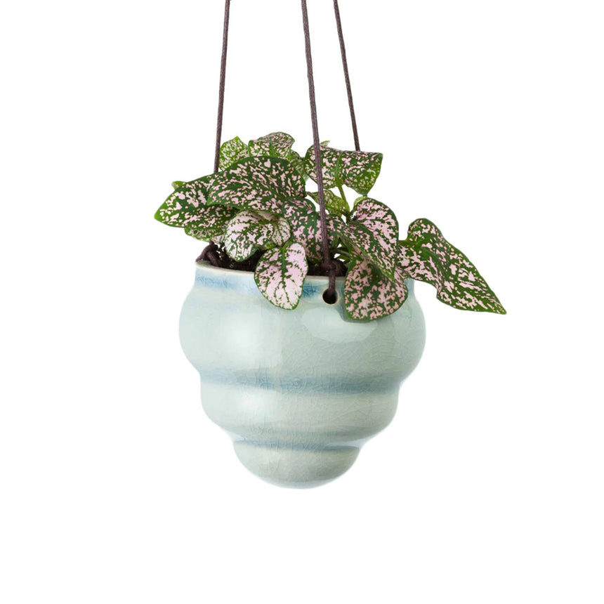 Burgon & Ball Baby Bombini Hanging Pot Set of 3 - Image 04