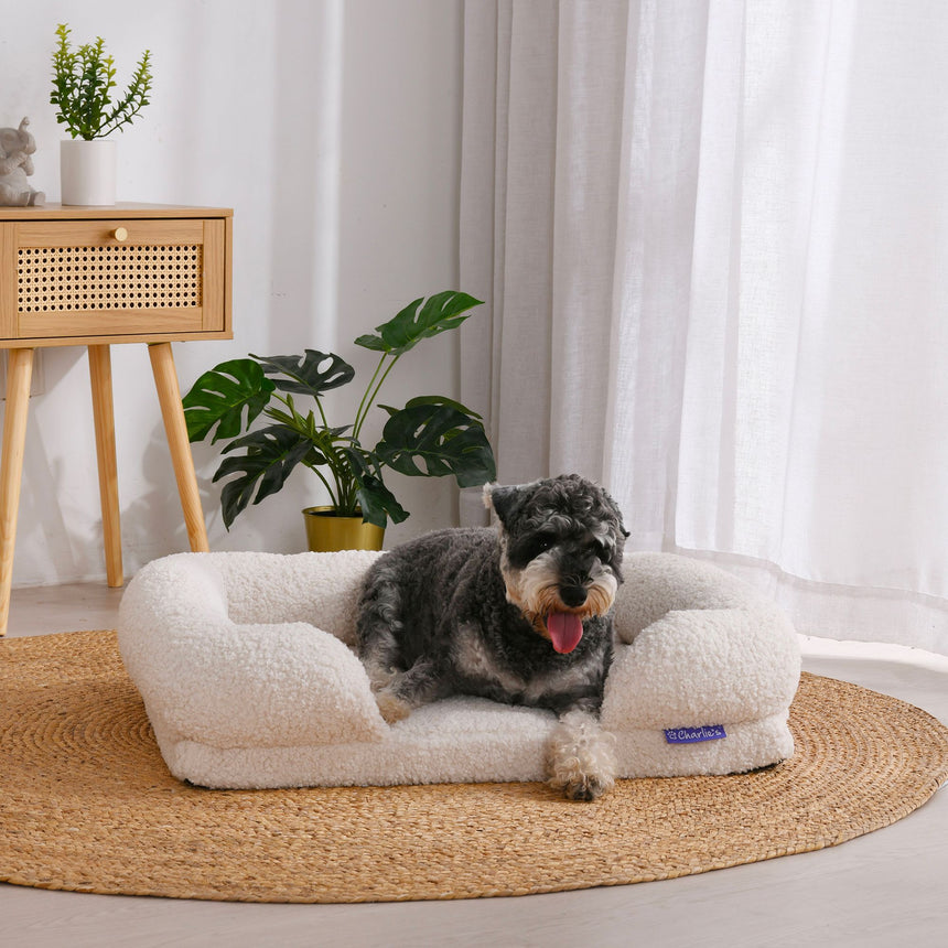 Charlie's Teddy Fleece Orthopedic Memory Foam Sofa Dog Bed Small Cream - Image 02