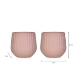 Garden Trading Linear Tumbler 200ml Set of 2 Pink Gin - Image 03