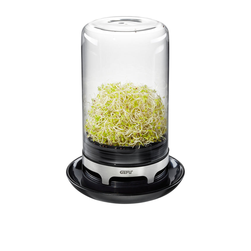 Gefu Bivita Sprouting Jar - Image 04