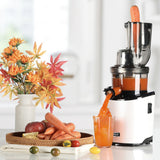 Kuvings REVO830 Carrot and Celery Slow Juicer White - Image 04