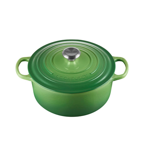 Le Creuset Signature Cast Iron Round Casserole 24cm Bamboo Green - Image 01