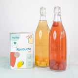 Mad Millie Kombucha Kit - Image 04