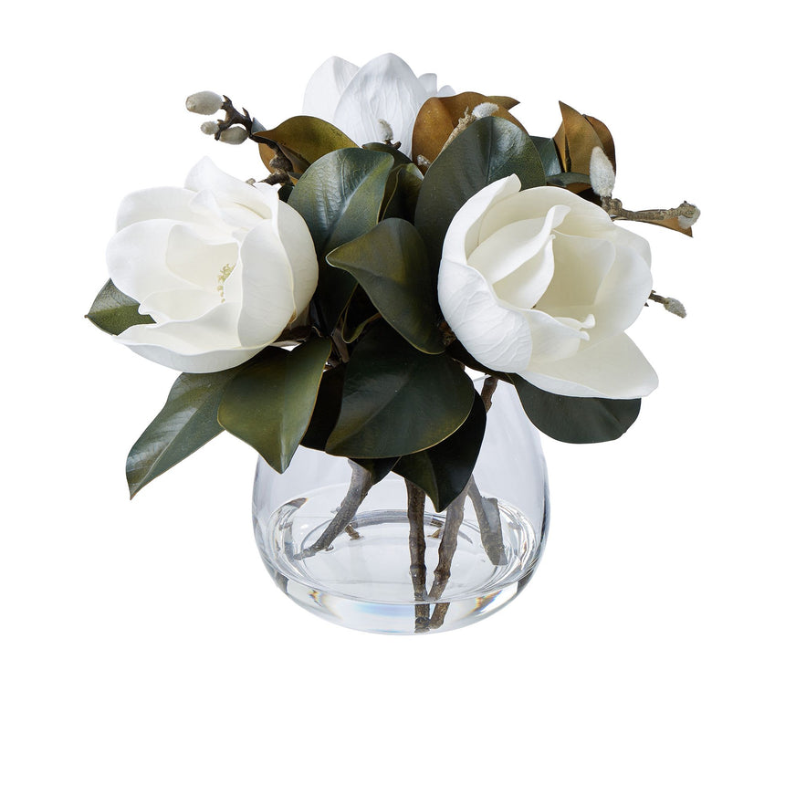 Rogue Magnolia Grandiflora in Garden Vase - Image 01