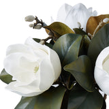 Rogue Magnolia Grandiflora in Garden Vase - Image 02