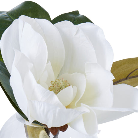 Rogue Magnolia in Sphere Vase - Image 02