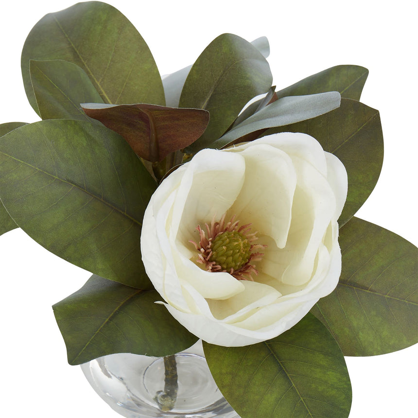 Rogue Magnolia in Sphere Vase - Image 03