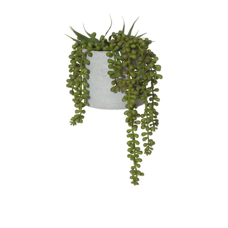 Rogue Artificial String of Pearls w/ Grey Pot 15x15x27cm - Image 01