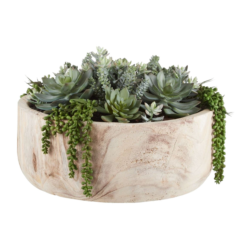 Rogue Succulent Garden in Dansk Bowl - Image 01