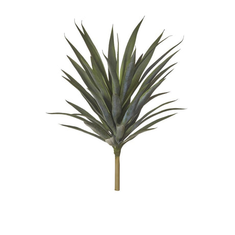 Rogue Yucca Plant - Image 01