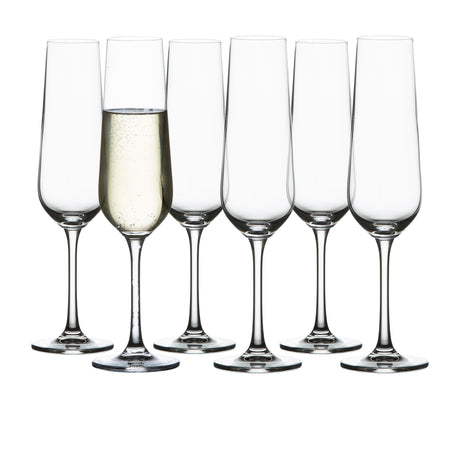 Salisbury & Co Sublime Champagne Flute Glass 200ml Set of 6 - Image 01