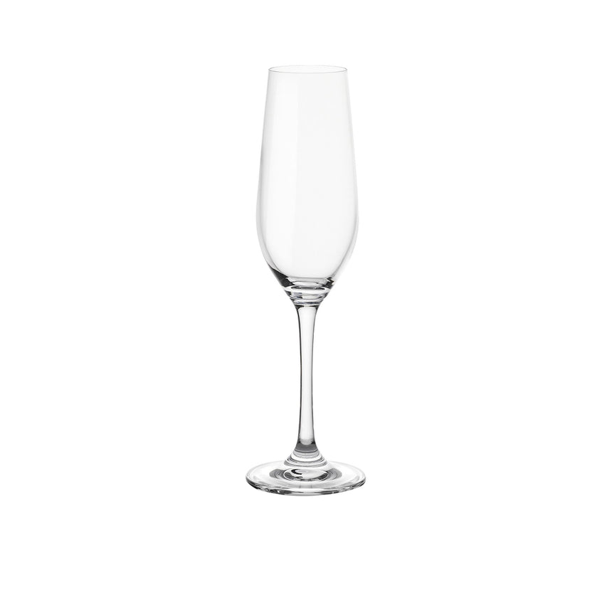 Stanley Rogers Tamar Set of 6 Champagne Flutes 235ml - Image 02