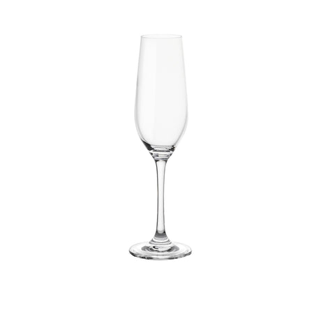 Stanley Rogers Tamar Set of 6 Champagne Flutes 235ml - Image 02